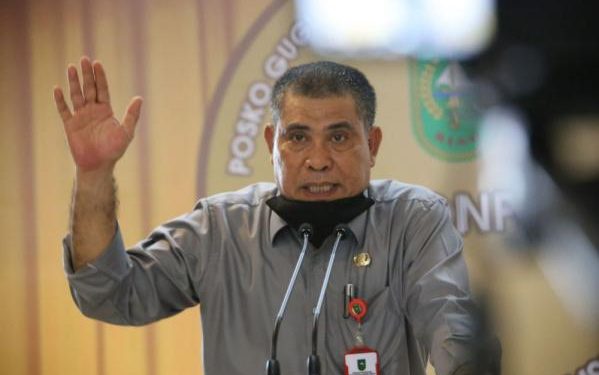 Tahun Ini, Produksi Padi di Riau Diperkirakan Capai 269,34 Ribu Ton
