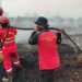 Empat Hari, Tim Gabungan Berjibaku Padamkan Karhutla di Tasik Serai