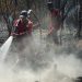100 Hektar Lahan di Cagar Biosfer, Bagan Benio, Talang Muandau Terbakar, Tim BBKSDA Sudah 11 hari Berjibaku Padamkan Api