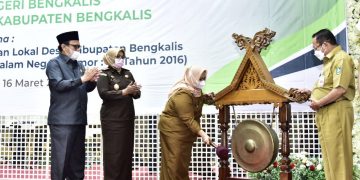 Bupati Bengkalis Buka Bimtek Percepatan Penataan Keuangan Desa