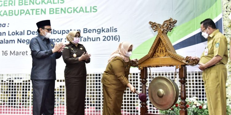 Bupati Bengkalis Buka Bimtek Percepatan Penataan Keuangan Desa