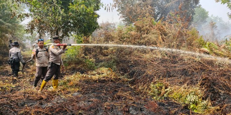 Petugas Lakukan Pemadam Karhutla di Desa Klemantan Bengkalis