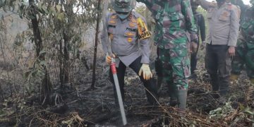 Kapolda Riau Berikan Semangat dan Lakukan Pemadaman Karhutla di Pulau Merbau dan Bengkalis