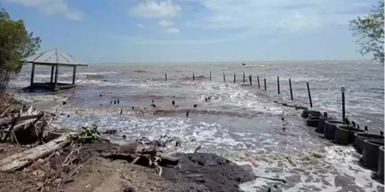 Terungkap!  Ternyata Amril Mukminin Yang Upayakan Dana Rp1,4 triliun Ke Kementrian Untuk Penanggulangan Abrasi Pantai di Bengkalis