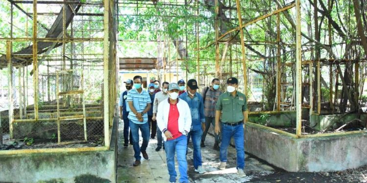 BB KSDA Siap Bantu Pemkab Fungsikan Kebun Binatang Selatbaru