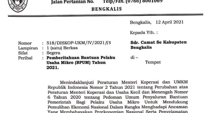 Diskop Bengkalis Buka Pendaftaran Bantuan Pelaku Usaha Mikro Kamis Ini