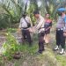 Masuk Kebun Sawit Warga, Polisi dan BKSDA Giring Gajah Liar ke Hutan Tesso Nilo