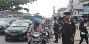 Harimau rokan duri