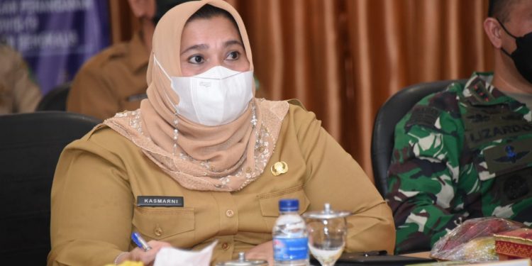 Kasmarni: Pemkab Bengkalis Siap Jalani Instruksi Presiden dan Gubri