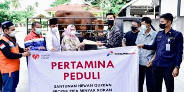 Bupati Kasmarni Terima Bantuan Hewan Qurban dari Pertamina Gas