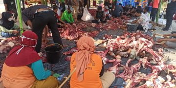 Idul Adha 1442 H  DLH Sembelih 9 Ekor Sapi, 1 ekor Bupati dan 1 Wabup