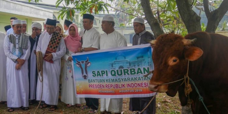Masjid Raya Annur Riau Tahun Ini Potong 20 Ekor Hewan Kurban  redaktur3  Sabtu, 17