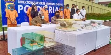 Polda Amankan 5 Paruh Burung dan Satu Kuku Harimau