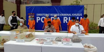 Polda Riau Tangkap Dua Pelaku Penyelundup 8 Ekor Kukang