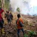 Satgas Karhutla Riau Padamkan Kebakaran di Taman Nasional Bukit Tigapuluh