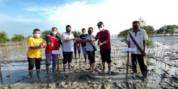 Kepala Dinas KP Riau Bersama KMKLP Tanam Mangrove di Teluk Papal Bengkalis