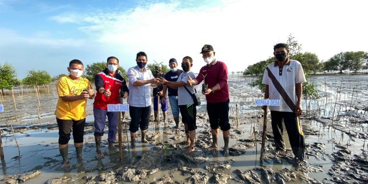 Kepala Dinas KP Riau Bersama KMKLP Tanam Mangrove di Teluk Papal Bengkalis