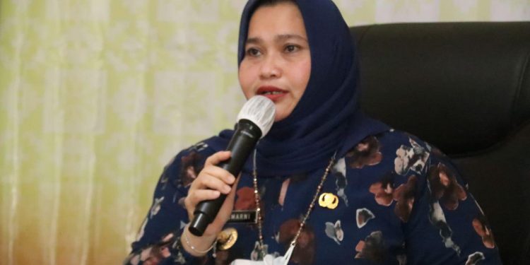 Narasumber Seminar Antar Bangsa Fisipol UIR, Bupati Kasmarni Paparkan Potensi Kabupaten Bengkalis