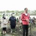 Kendalikan Abrasi, Presiden Jokowi Tanam Mangrove di Pulau Terdepan Bengkalis