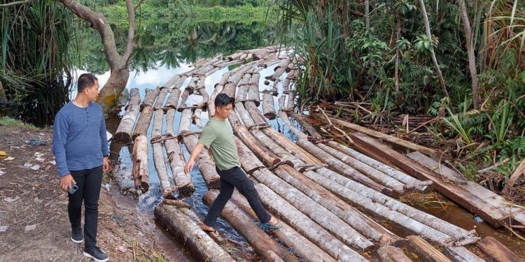 10 Ton Kayu Illegal Logging Hasil Jarahan Komplotan Mafia Kayu di Siak Kecil diamankan Tim Polda Riau