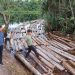 10 Ton Kayu Illegal Logging Hasil Jarahan Komplotan Mafia Kayu di Siak Kecil diamankan Tim Polda Riau