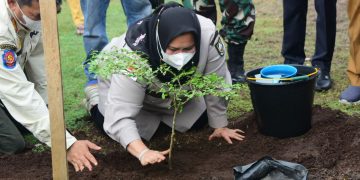 Bupati Kasmarni Tanam Pohon Penghijauan di Pelabuhan BSSR