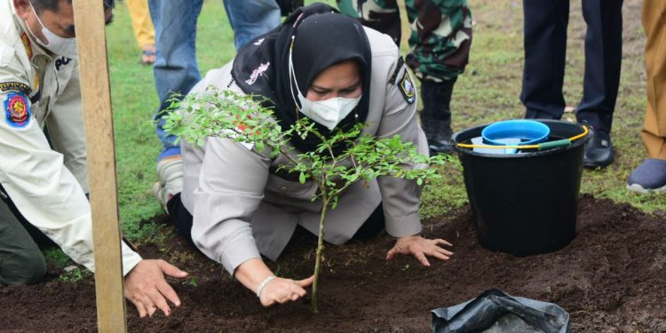 Bupati Kasmarni Tanam Pohon Penghijauan di Pelabuhan BSSR