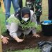 Bupati Kasmarni Tanam Pohon Penghijauan di Pelabuhan BSSR
