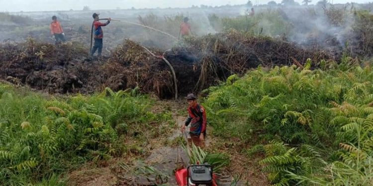 Padamkan Karhutla Butuh Kerja Ekstra, dari Taruhan Nyawa hingga Makhluk Tak Kasat Mata