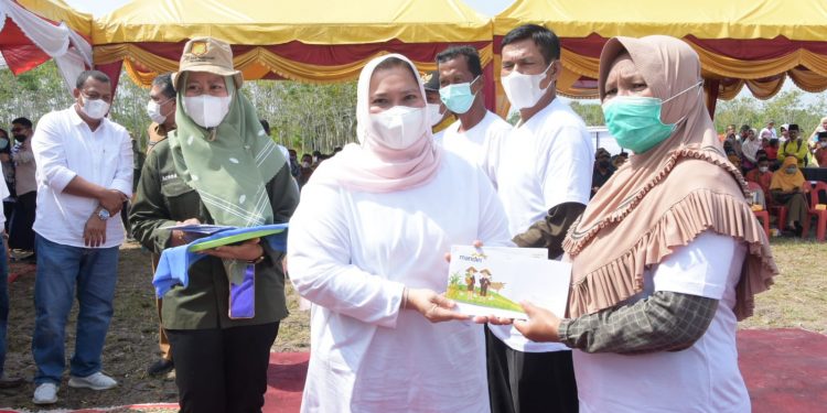 Bupati Kasmarni Serahkan Kartu Tani