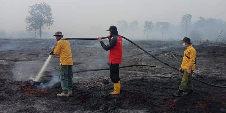 Antisipasi Dini, BPBD Riau Minta Daerah Rawan Karhutla Cepat Tetapkan Status Siaga