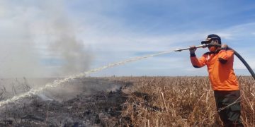 Puluhan Hektar Lahan Terbakar, BPBD Riau Dorong Percepatan Status Siaga