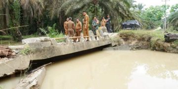 Tinjau Kerusakan Jembatan di Desa Bathin Betuah, Camat Riki Berharap Segera diperbaiki