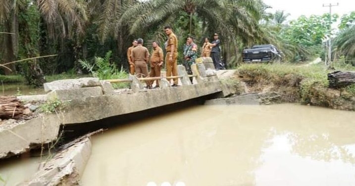 Tinjau Kerusakan Jembatan di Desa Bathin Betuah, Camat Riki Berharap Segera diperbaiki