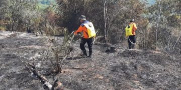 11 Hektare Kebakaran Lahan di Kabupaten Kampar Padam