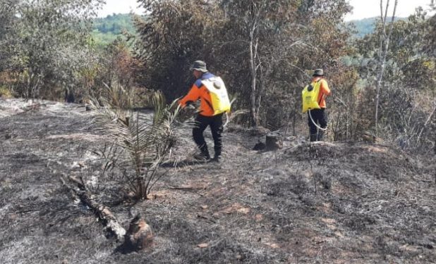 11 Hektare Kebakaran Lahan di Kabupaten Kampar Padam