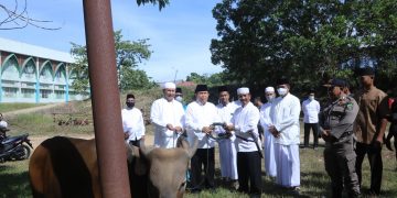 5.024 Ekor Hewan Qurban di Sembelih di Rohul pada Idul Adha 1443 H