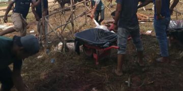 Masjid Agung Madani Islamic Center Sembelih 63 Ekor Sapi dan 11 Ekor Kambing