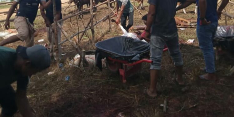 Masjid Agung Madani Islamic Center Sembelih 63 Ekor Sapi dan 11 Ekor Kambing