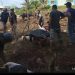 Masjid Agung Madani Islamic Center Sembelih 63 Ekor Sapi dan 11 Ekor Kambing