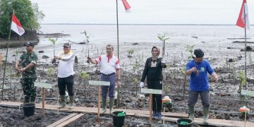 Sempena Hari Mangrove Sedunia, Gubri Tanam Ratusan Ribu Bibit Mangrove