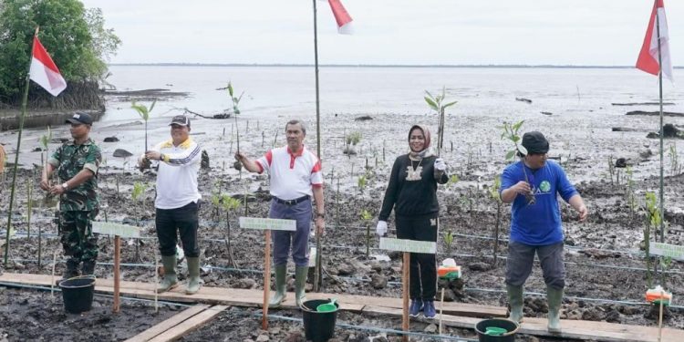 Sempena Hari Mangrove Sedunia, Gubri Tanam Ratusan Ribu Bibit Mangrove