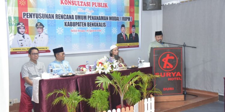 Tingkatkan Daya Saing Penanaman Modal, DPMPTS Bengkalis Gelar Konsultasi Publik