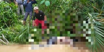 Tiga Hari Terseret Arus Sungai Rokan, Warga Kota Lama ditemukan Mengapung di Pinggir Sungai