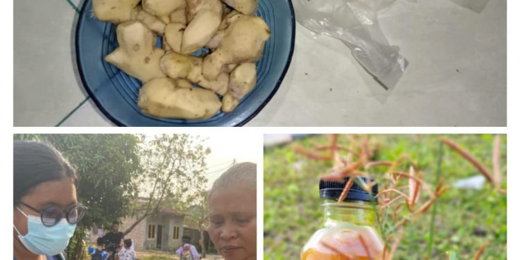 Mahasiswa Kukerta UNRI Di desa Pinang Sebatang bagikan Jamu Imun Kita Sehat