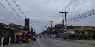 Rindang Pohon di Jalan Desa Harapan Kini Tinggal Kenangan