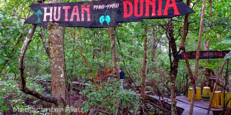 Riau Punya Potensi Besar Bantu Indonesia Capai Serapan Karbon 140 Juta Ton pada 2030