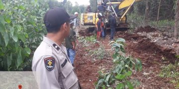 Wanita Pekerja Kayu di Pelalawan Tewas Diterkam Harimau, Begini Penjelasan Polisi