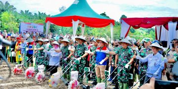 Dukung Ketahanan Pangan Nasional, Sinergi PHR – TNI AD Olah 100 Ha Tanaman Pangan di Kesumbo Ampai