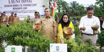 Riau Kekurangan 15.096 Ton Cabai Merah per Tahun, Gubri Bagikan Bibit Untuk Masyarakat